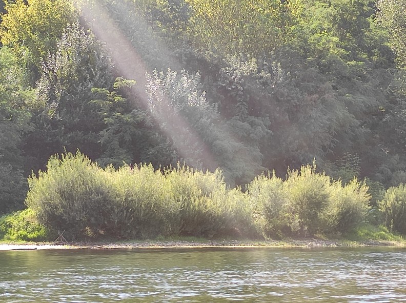 Trop longues lectures ! - Article 13