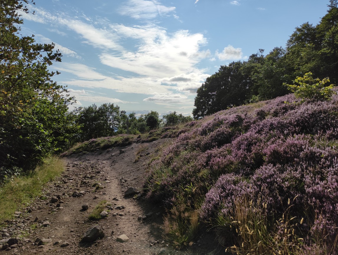 Chemin de Saint-Jacques, 23 août 2021.