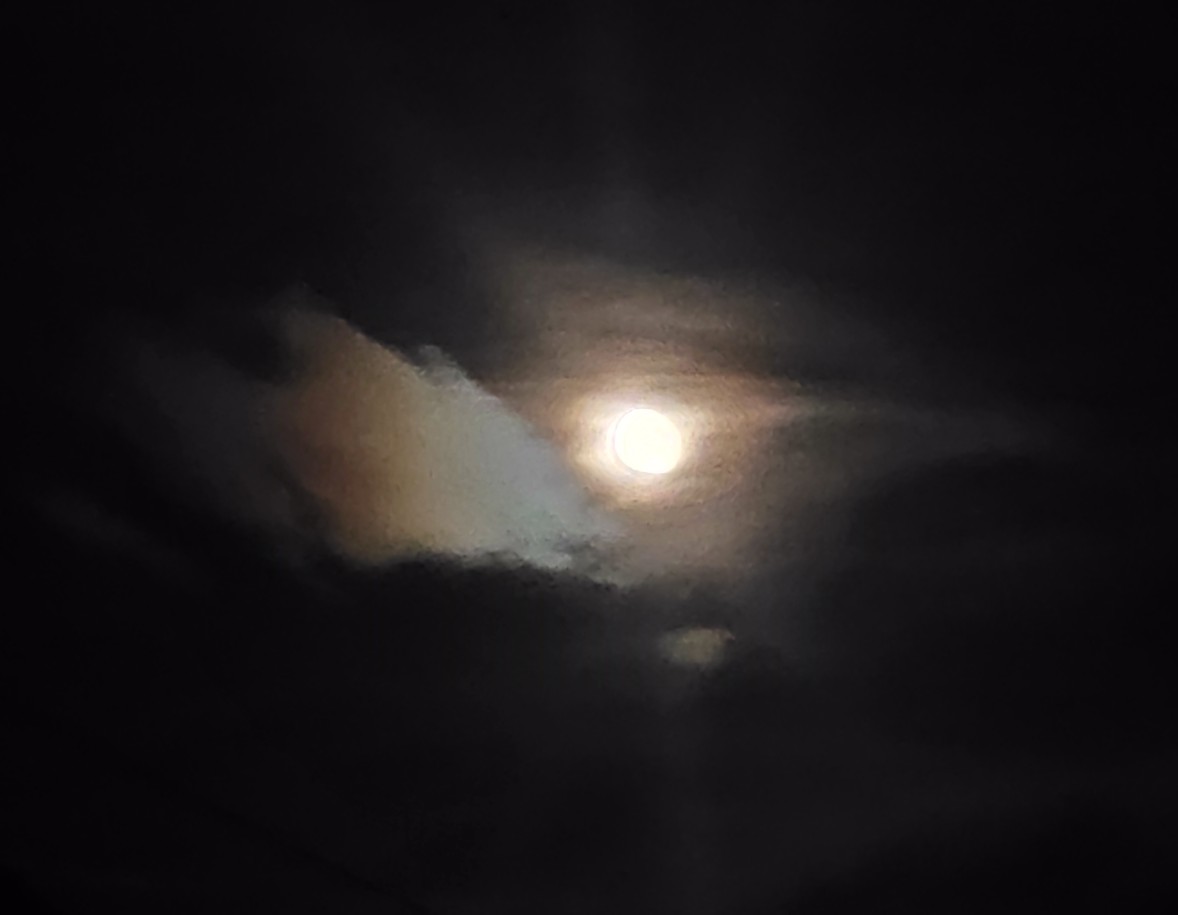 Chronique nocturne, deuxième partie. Secret de la narration. Cabale du style.