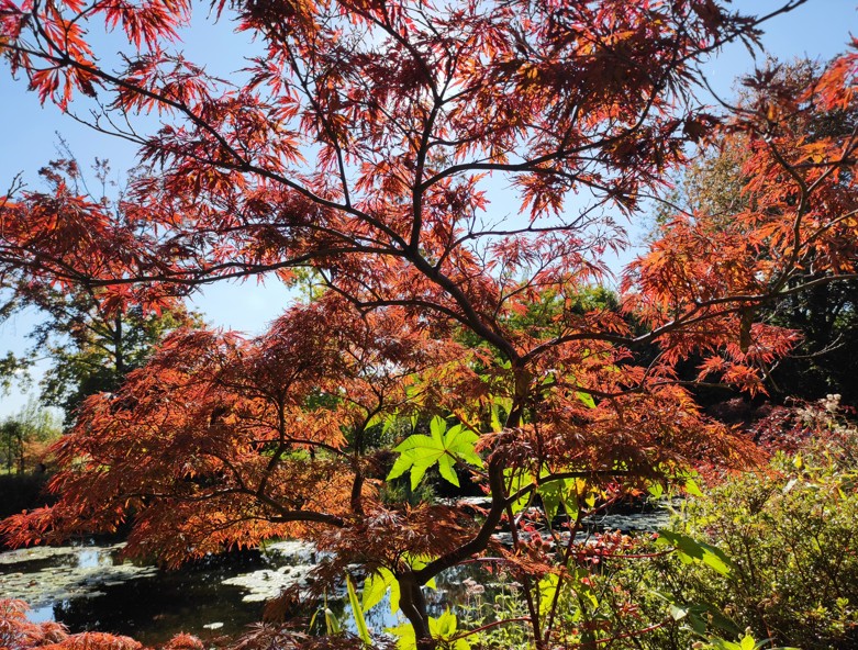 La résurrection du blog, moins d'un an après ! - Article 6