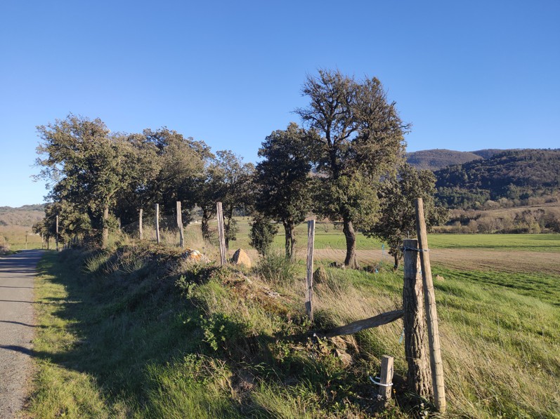 Ouvrir les sentiers de la nouvelle année - Article 7